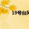 19號臺風（關于19號臺風的介紹）
