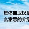 集體自衛權是什么意思（關于集體自衛權是什么意思的介紹）
