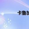 卡魯加（關于卡魯加的介紹）