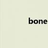 bones（關于bones的介紹）