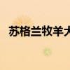 蘇格蘭牧羊犬（關于蘇格蘭牧羊犬的介紹）