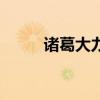 諸葛大力（關于諸葛大力的介紹）