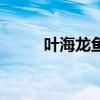 葉海龍魚（關于葉海龍魚的介紹）