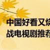 中國好看又燒腦的諜戰劇排名（十大必看的諜戰電視劇推薦）