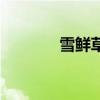 雪鮮草（關于雪鮮草的介紹）