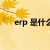 erp 是什么（關于erp 是什么的介紹）