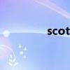 scott（關于scott的介紹）
