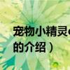 寵物小精靈dp132（關于寵物小精靈dp132的介紹）