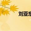劉亞東（關于劉亞東的介紹）