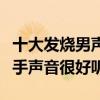 十大發燒男聲歌手盤點（戴玉強著名男高音歌手聲音很好聽）
