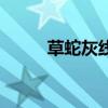 草蛇灰線（關于草蛇灰線的介紹）