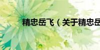 精忠岳飛(關于精忠岳飛的介紹)