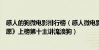 感人的狗微電影排行榜(感人微電影排行榜前十名:《老人愿》上榜第十主講流浪狗)
