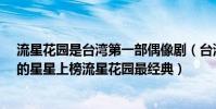 流星花園是臺灣第一部偶像劇(臺灣10部經典偶像劇:放羊的星星上榜流星花園最經典)