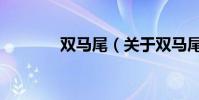 雙馬尾(關于雙馬尾的介紹)