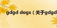 gdgd dogs(關于gdgd dogs的介紹)