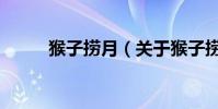 猴子撈月(關于猴子撈月的介紹)