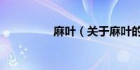 麻葉(關于麻葉的介紹)