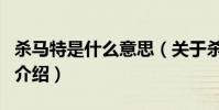 殺馬特是什么意思(關于殺馬特是什么意思的介紹)