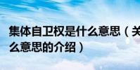 集體自衛權是什么意思(關于集體自衛權是什么意思的介紹)