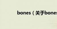 bones(關于bones的介紹)