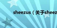 sheezus(關于sheezus的介紹)