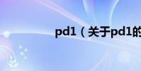 pd1(關于pd1的介紹)