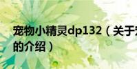 寵物小精靈dp132(關于寵物小精靈dp132的介紹)