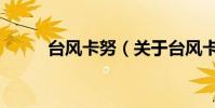 臺風卡努(關于臺風卡努的介紹)