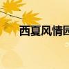 西夏風情園（關于西夏風情園的介紹）