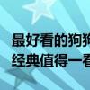 最好看的狗狗電影排行榜（一條狗的使命相當經典值得一看）