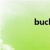 buck（關于buck的介紹）