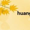 huang（關于huang的介紹）