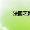 法國芝蔓（關于法國芝蔓的介紹）