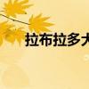 拉布拉多犬（關于拉布拉多犬的介紹）