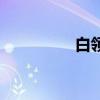 白領（關于白領的介紹）