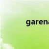 garena（關于garena的介紹）