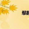 鄢頗（關于鄢頗的介紹）