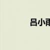 呂小雨（關于呂小雨的介紹）