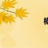 樽（關于樽的介紹）