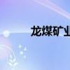 龍煤礦業（關于龍煤礦業的介紹）