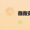 薇薇安（關于薇薇安的介紹）