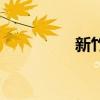 新竹（關于新竹的介紹）
