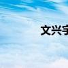 文興宇（關于文興宇的介紹）