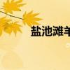 鹽池灘羊（關于鹽池灘羊的介紹）