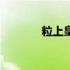粒上皇（關于粒上皇的介紹）