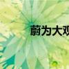 蔚為大觀（關于蔚為大觀的介紹）