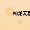 神龍天尊（關于神龍天尊的介紹）