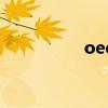 oee（關于oee的介紹）