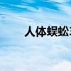 人體蜈蚣3（關于人體蜈蚣3的介紹）